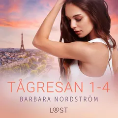 Tågresan 1-4 - en serie om erotiska tågresor