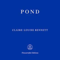 Pond