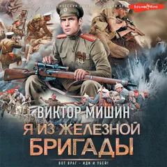 Я из Железной бригады