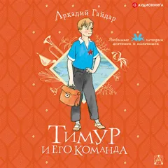 Тимур и его команда