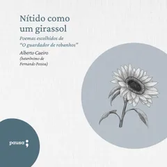 Nítido como um girassol