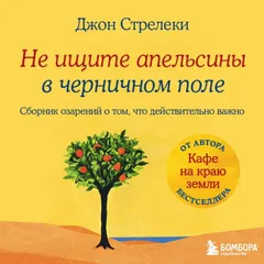 Не ищите апельсины в черничном поле. Сборник озарений о том, что действительно важно #1