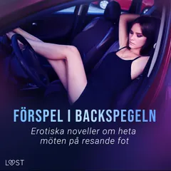 Förspel i backspegeln: Erotiska noveller om heta möten på resande fot