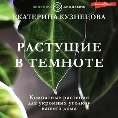 Растущие в темноте. Комнатные растения для укромных уголков вашего дома