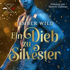 Ein Dieb zu Silvester