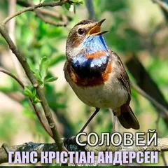 Соловей