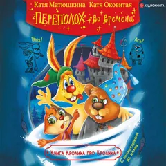 Переполох во времени