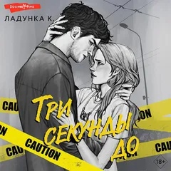 Три секунды до