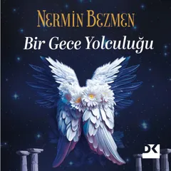 Bir Gece Yolculuğu