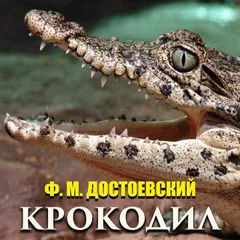 Крокодил