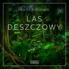 Nastrojowo - Las Deszczowy