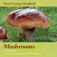 Mushrooms