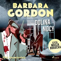 Dolina nocy