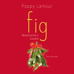 fig – Weihnachtszauber