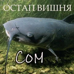 Сом