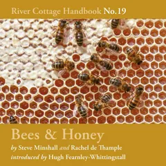 Bees & Honey