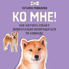 Ко мне! Как научить собаку моментально возвращаться по команде