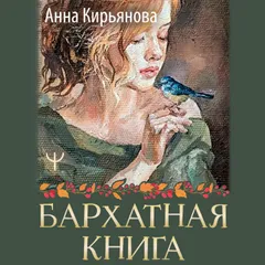 Бархатная книга
