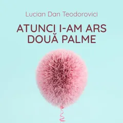 Atunci i-am ars două palme