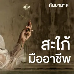 สะใภ้มืออาชีพ