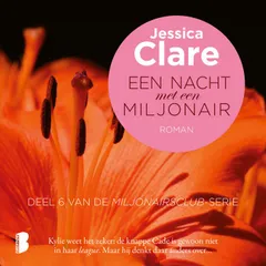Een nacht met een miljonair