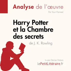 Harry Potter et la Chambre des secrets de J. K. Rowling (Analyse de l'oeuvre)