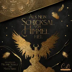 Als mein Schicksal vom Himmel fiel