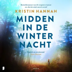 Midden in de winternacht