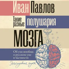 Такие разные полушария мозга. Об уме вообще, о русском уме в частности