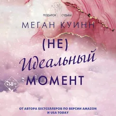 Неидеальный момент