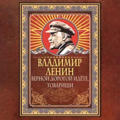 Верной дорогой идёте, товарищи