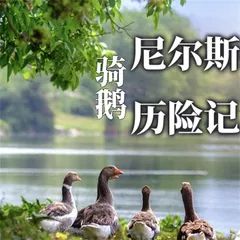 尼尔斯骑鹅历险记