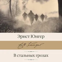 В стальных грозах