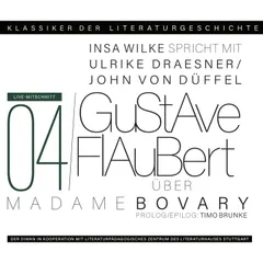Ein Gespräch über Gustave Flaubert - Madame Bovary