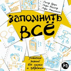 Запомнить все: Усвоение знаний без скуки и зубрежки