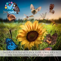 The Fascinating World of Insects