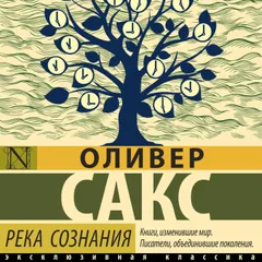 Река сознания