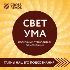 Саммари книги "Свет ума. Подробный путеводитель по медитации"