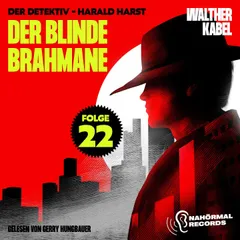 Der blinde Brahmane (Der Detektiv-Harald Harst, Folge 22)