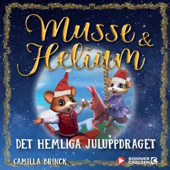 Det hemliga juluppdraget