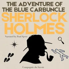 The Adventure of the Blue Carbuncle