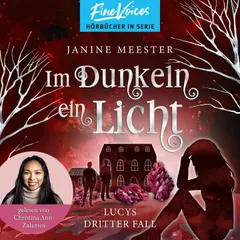 Im Dunkeln ein Licht