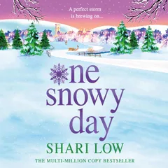 One Snowy Day
