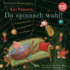 Du spinnsch wohl!: Eine aussergewöhnliche Adventsgeschichte in 24 Kapiteln