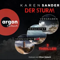 Der Sturm: Vergraben, Verachtet & Vernichtet - 3 Thriller