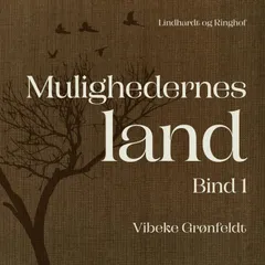 Mulighedernes land. Bind 1