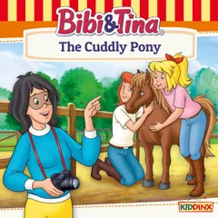 The Cuddly Pony