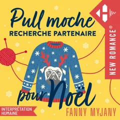 Pull moche recherche partenaire pour Noël