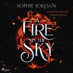 A Fire in the Sky