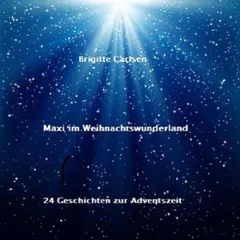 Maxi im Weihnachtswunderland